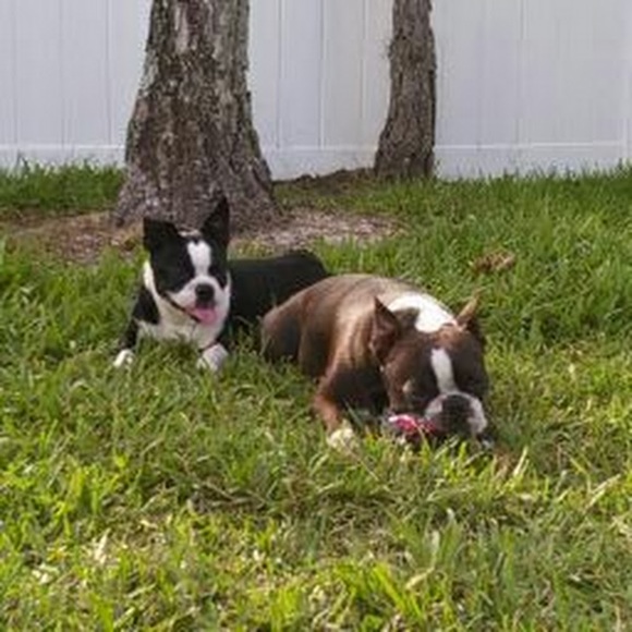 Meet your Posher, Brent - Picture 1 of 1